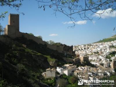 Castillo de Cazorla - Parque Natural de Cazorla; charca verde pedriza